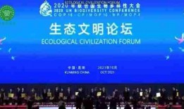 兴安盟爆料最新消息新闻,重大新闻事件追踪！