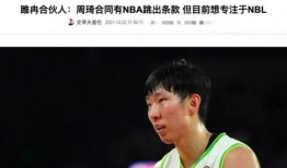 苏群爆料周琦最新决定,苏群曝料揭示篮球天才的未来抉择”