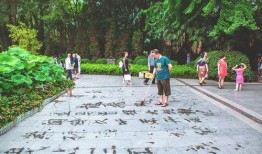 成都公园舆论爆料案件最新,真相与争议交织的公共事件