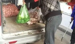 平顶山学校爆料案件最新,真相揭开，校园安全再引关注